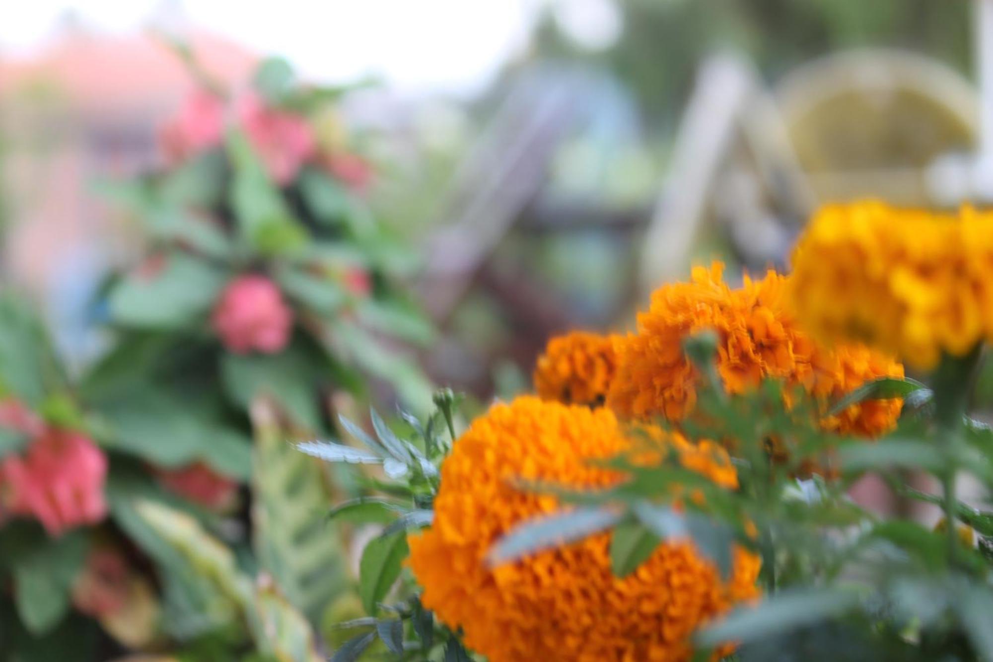 Mount Annapurna Guest House Kathmandu Luaran gambar